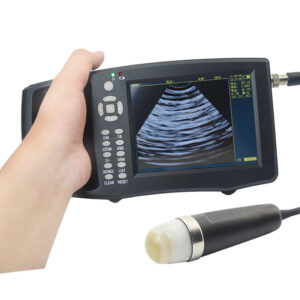 Veterinary Ultrasound Scanner A71 8000v