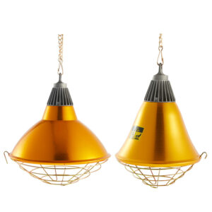 Veterinary Lampshade Small Size