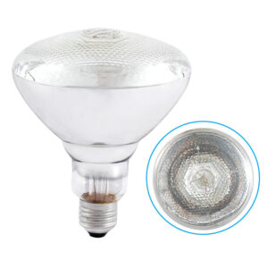 Thermal Insulation Heat Heat Lamp