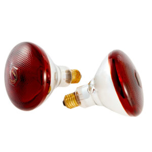 Veterinary Infrared Heatlamp